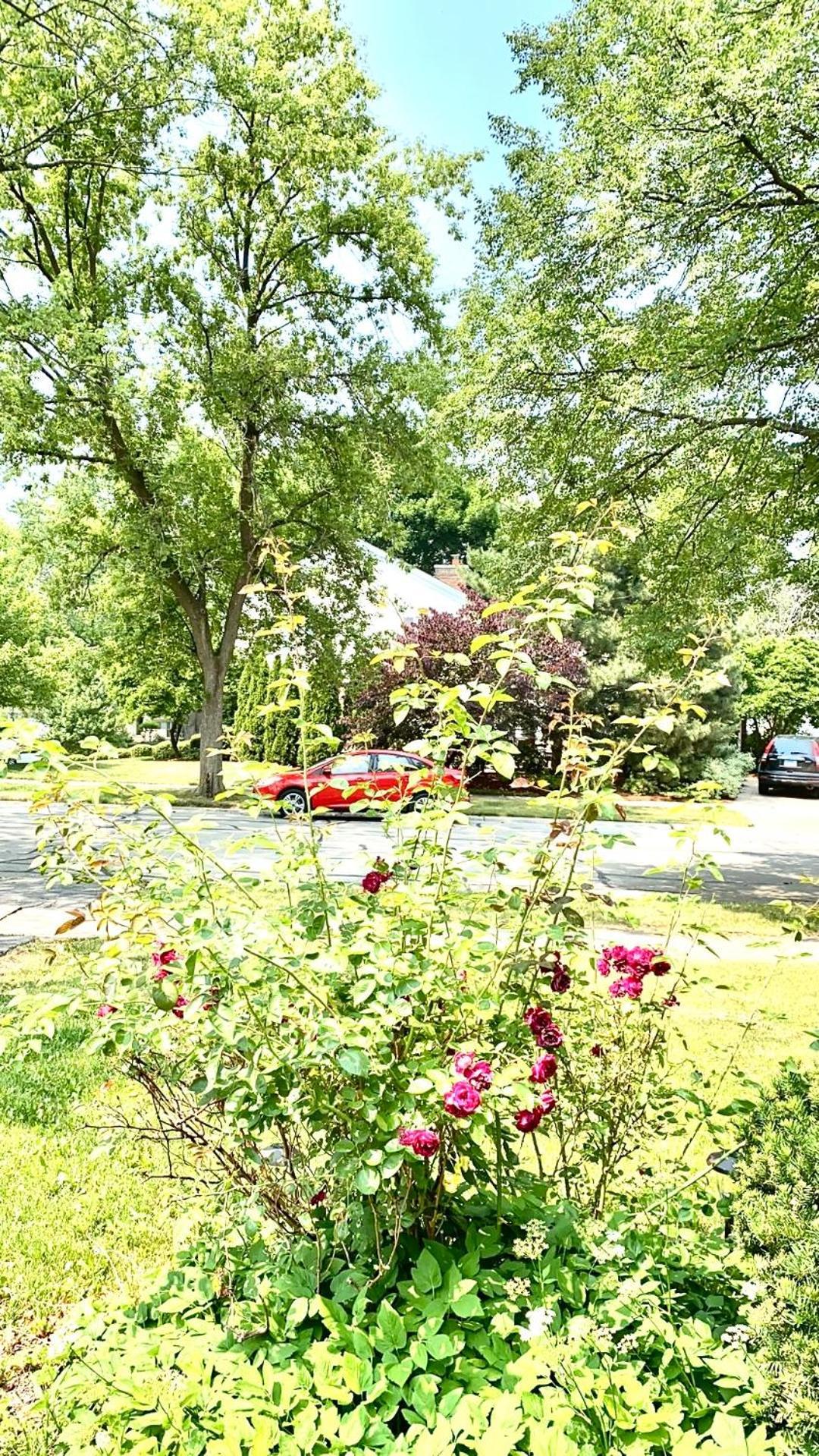 B2 A Private Room In Naperville Downtown With Desk And Wi-Fi Near Everything Exterior foto
